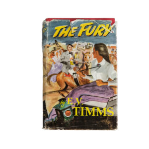 The Fury by E.V. Timms